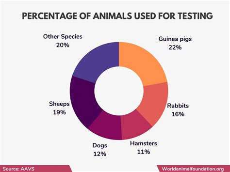 positive impact of animal testing|positive things about animal testing.